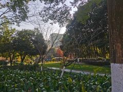 -处州公园