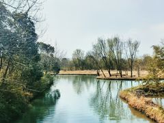 -西溪国家湿地公园