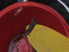 -奉贤海滩