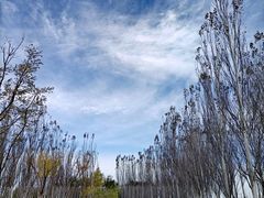 -东郊湿地公园
