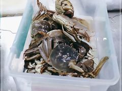 -曼格活海鲜·牛排自助(光明蓝鲸店)
