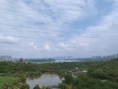 -张坝桂圆林公园