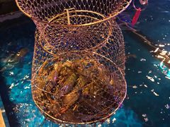 -钳真多钓虾馆·小龙虾海鲜烧烤(九六广场店)