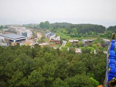 -铁山坪森林公园