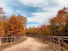 -上海海湾国家森林公园