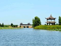 -泗洪洪泽湖湿地景区