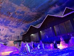 -世界之窗阿尔卑斯冰雪世界