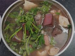 益母菜猪血汤-田海鹰猪血汤(平东一街店)