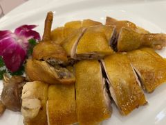 -金汇酒楼(中山东区店)
