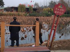 -三圣花乡旅游区