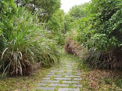 -梁鸿国家湿地公园