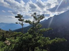 -牛背梁国家森林公园