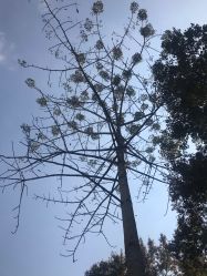 -京都造型·烫发·染发