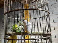 -鱼桥巷·美学川菜