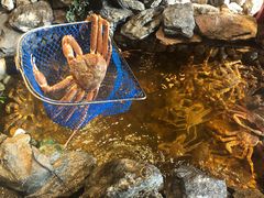 -綱元·海鲜豆捞(明州里店)