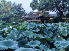 -绍兴鲁迅故里·沈园景区