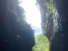 -牛背梁国家森林公园