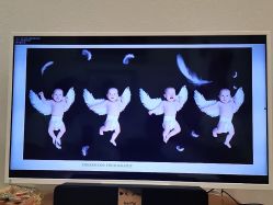 -星豆豆儿童摄影(南郊太白南路店)