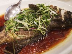 1元海鲜清蒸海石斑-金翠皇宫粤菜·点心·海鲜(科技园店)