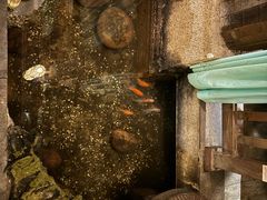 -淀里船宴(卓达店)