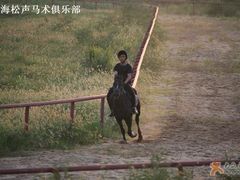 -松声马术俱乐部