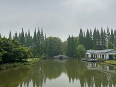 -焦山风景区