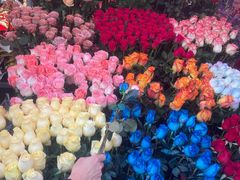 -越秀西湖花市(广州城市广场花卉店)