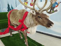 -北京鹿世界主题园