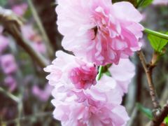 -帐篷客·溪龙茶谷度假酒店