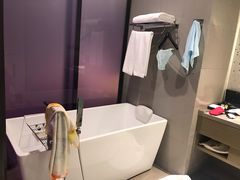 -南京禄口机场雅高铂尔曼大酒店