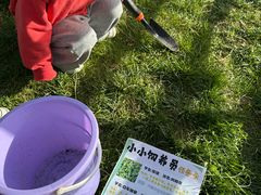 -白鹿原樱桃园