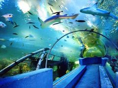 -华夏文旅海洋公园