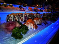 -亚马逊环球美食百汇(新城吾悦广场店)