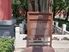 -北京市劳动人民文化宫(太庙)