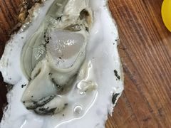 -四季美蚝皇
