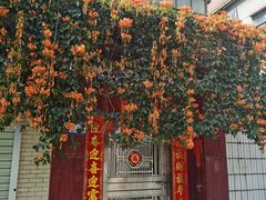 -长洲岛
