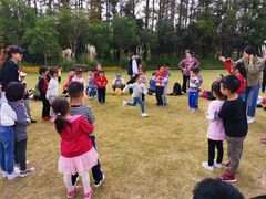 -上海长兴岛郊野公园