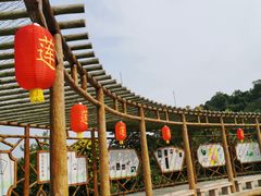 -广州莲花山旅游区