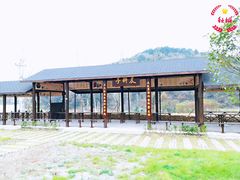 -千年银杏谷文化旅游区