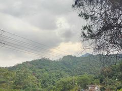 -象头山国家级自然保护区
