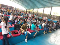 -武汉紫薇都市田园