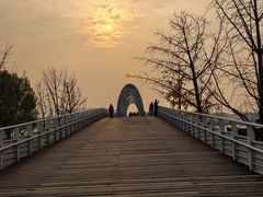 -大兴滨河森林公园