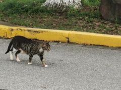 -上海交通大学(闵行校区)