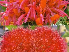 -中国科学院华南植物园