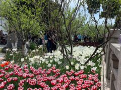 -玄武湖景区-情侣园游乐场