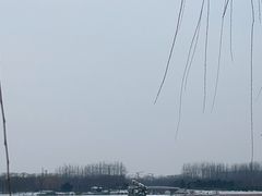 -大兴滨河森林公园