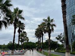 -金沙湖公园