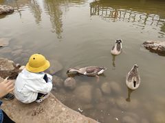 -鄂尔多斯野生动物园