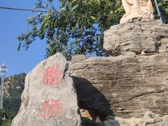 -大岭沟猕猴桃谷风景区