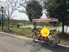 -金卉庄园